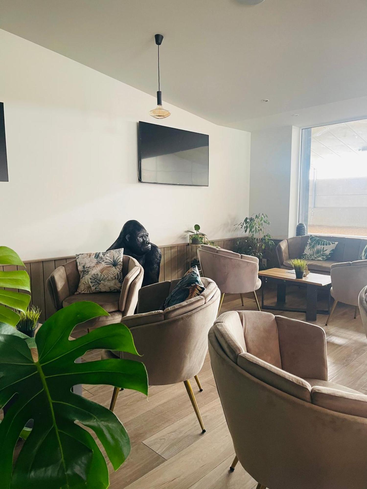 Equus B&B Bredene Dış mekan fotoğraf