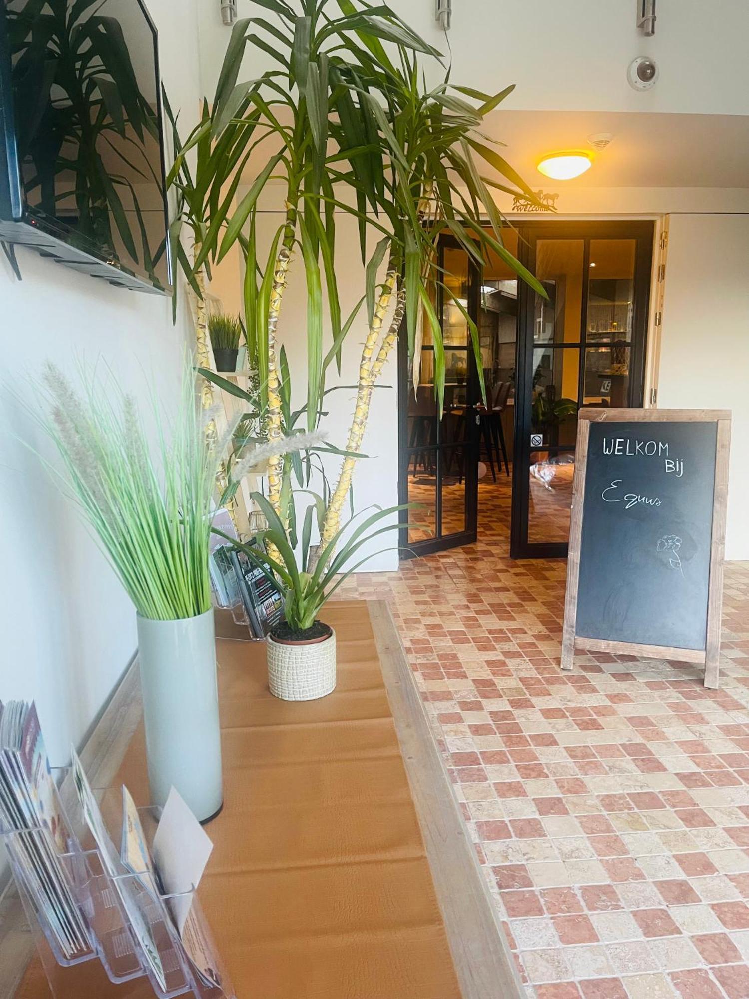 Equus B&B Bredene Dış mekan fotoğraf